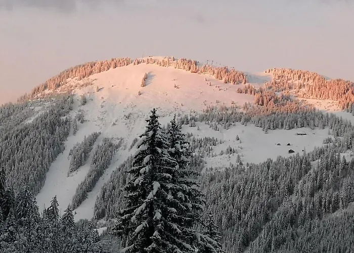 Chalet In Chatel Near Les Portes Du Soleil Dağ evi *
