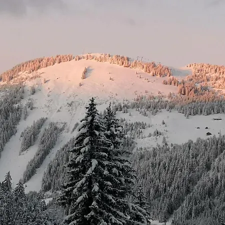 Chalet In Chatel Near Les Portes Du Soleil Chalé *